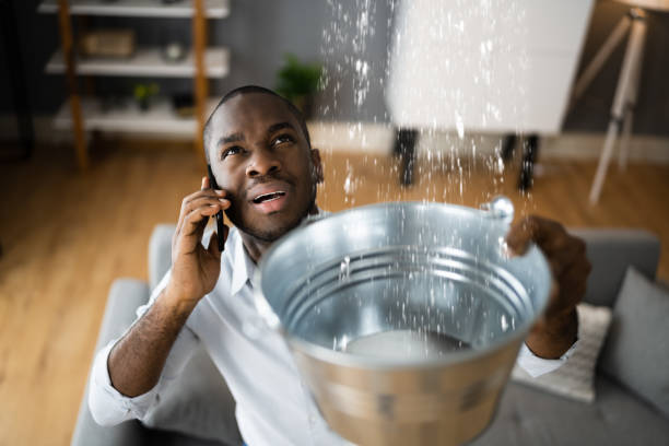 Best Flood damage cleanup  in Nixon, TX