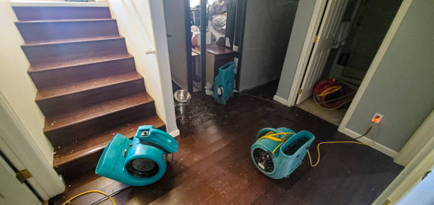 Water damage restoration experts in Nixon, TX
