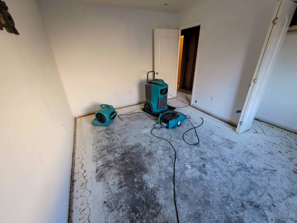 Best Water damage restoration near me  in Nixon, TX