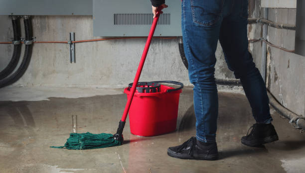Best Water damage restoration near me  in Nixon, TX