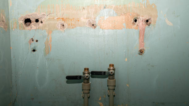 Water damage restoration mold remediation in Nixon, TX