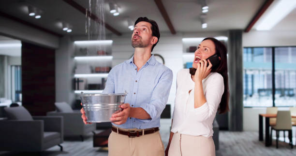 Best Flooded house restoration  in Nixon, TX