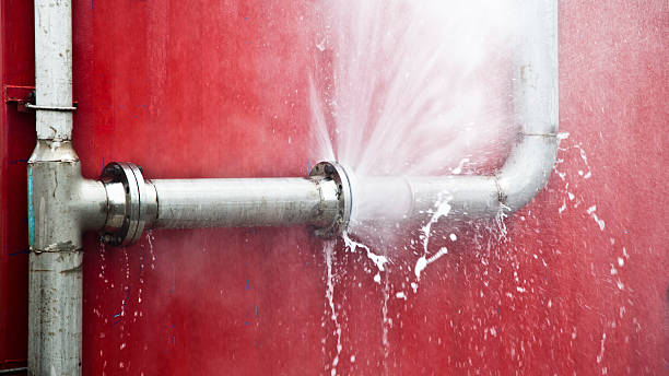 Best Water damage repair service  in Nixon, TX